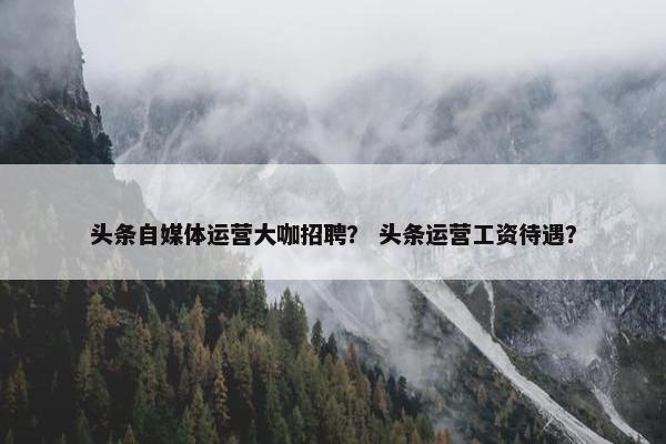 头条自媒体运营大咖招聘？ 头条运营工资待遇？