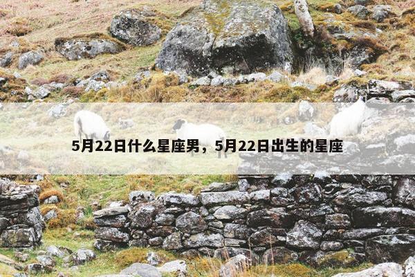 5月22日什么星座男，5月22日出生的星座