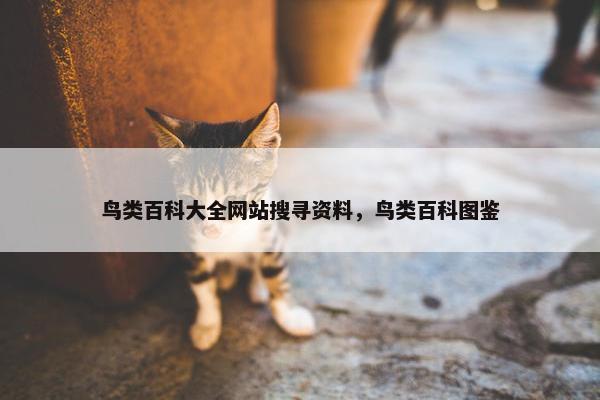 鸟类百科大全网站搜寻资料，鸟类百科图鉴
