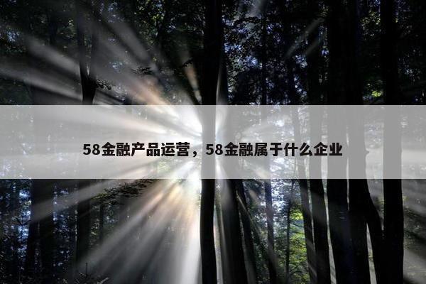 58金融产品运营，58金融属于什么企业