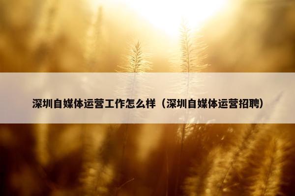 深圳自媒体运营工作怎么样（深圳自媒体运营招聘）
