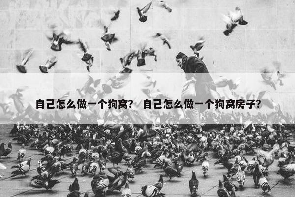 自己怎么做一个狗窝？ 自己怎么做一个狗窝房子？