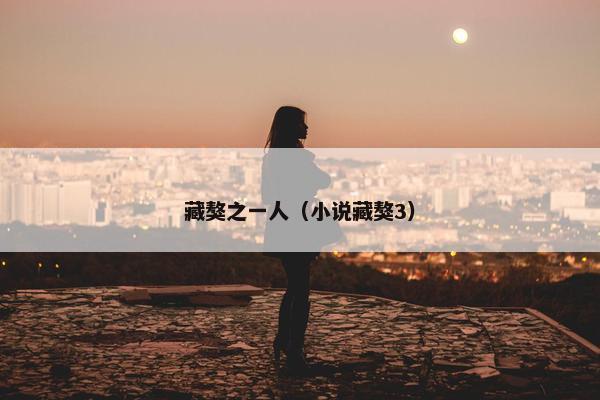 藏獒之一人（小说藏獒3）