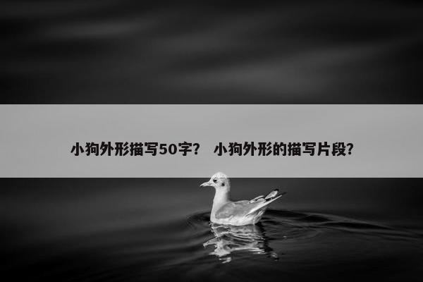 小狗外形描写50字？ 小狗外形的描写片段？