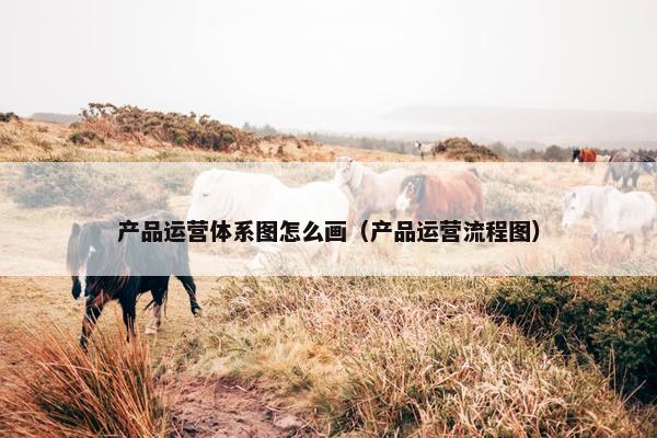 产品运营体系图怎么画（产品运营流程图）