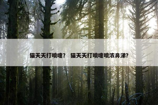 猫天天打喷嚏？ 猫天天打喷嚏喷浓鼻涕？