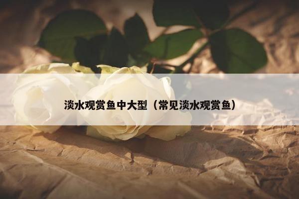 淡水观赏鱼中大型（常见淡水观赏鱼）