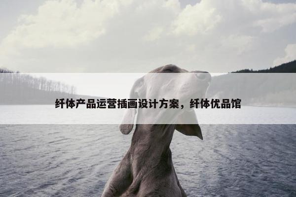 纤体产品运营插画设计方案，纤体优品馆