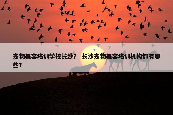 宠物美容培训学校长沙？ 长沙宠物美容培训机构都有哪些？