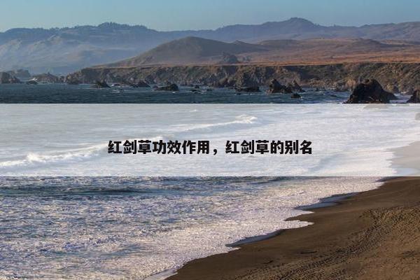 红剑草功效作用，红剑草的别名