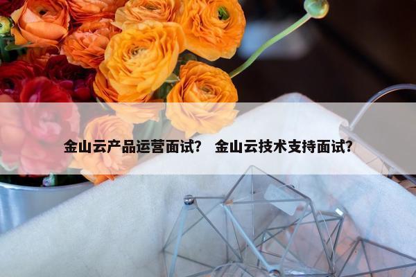 金山云产品运营面试？ 金山云技术支持面试？