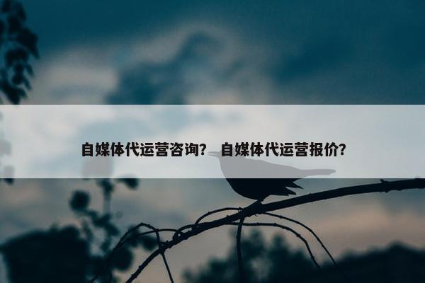 自媒体代运营咨询？ 自媒体代运营报价？