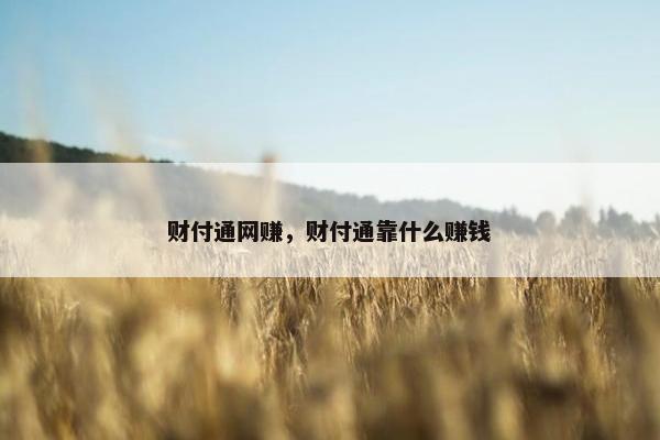 财付通网赚，财付通靠什么赚钱