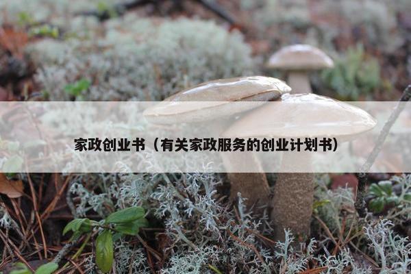 家政创业书（有关家政服务的创业计划书）