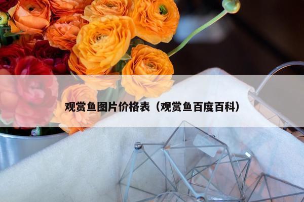 观赏鱼图片价格表（观赏鱼百度百科）