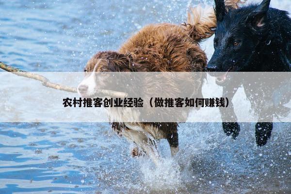 农村推客创业经验（做推客如何赚钱）
