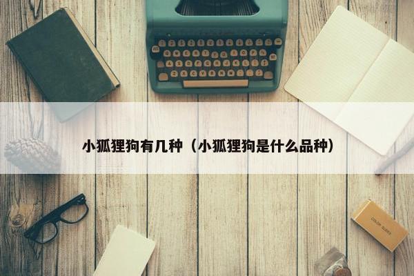 小狐狸狗有几种（小狐狸狗是什么品种）
