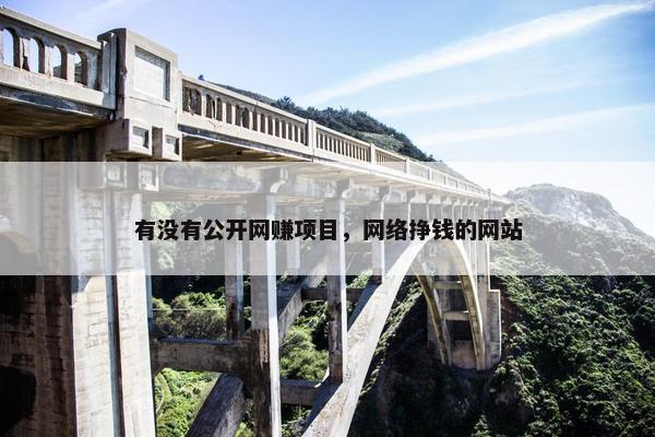 有没有公开网赚项目，网络挣钱的网站