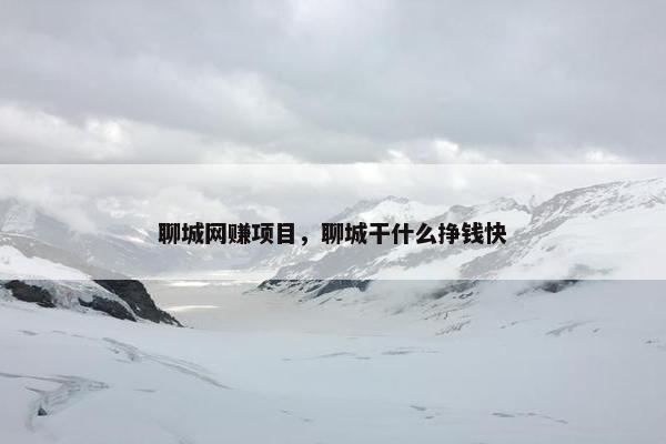 聊城网赚项目，聊城干什么挣钱快