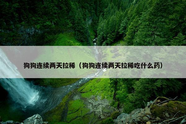 狗狗连续两天拉稀（狗狗连续两天拉稀吃什么药）