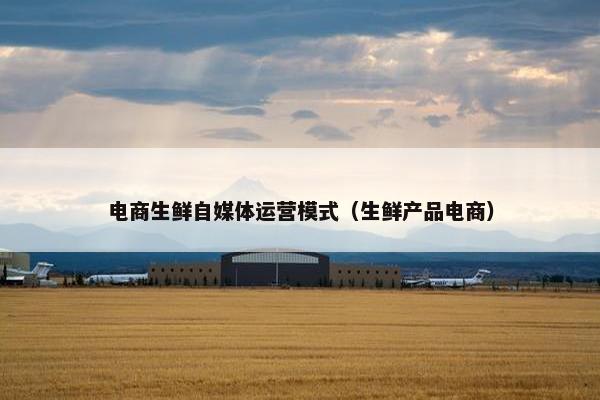 电商生鲜自媒体运营模式（生鲜产品电商）