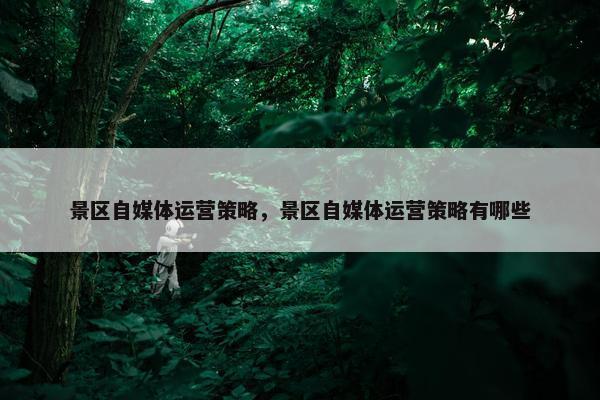 景区自媒体运营策略，景区自媒体运营策略有哪些