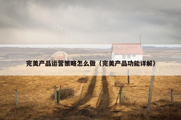 完美产品运营策略怎么做（完美产品功能详解）