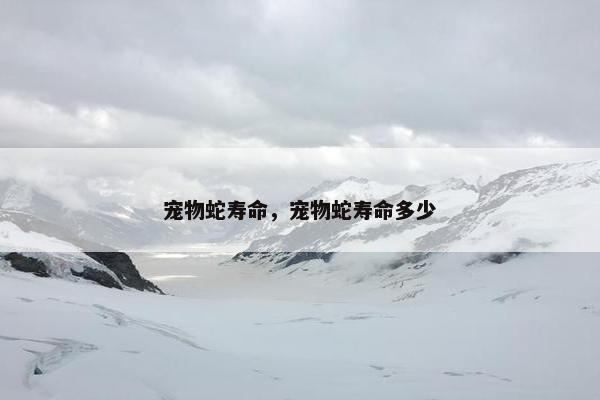 宠物蛇寿命，宠物蛇寿命多少