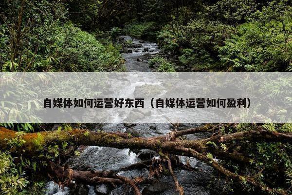自媒体如何运营好东西（自媒体运营如何盈利）
