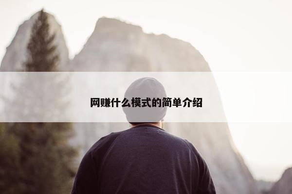 网赚什么模式的简单介绍