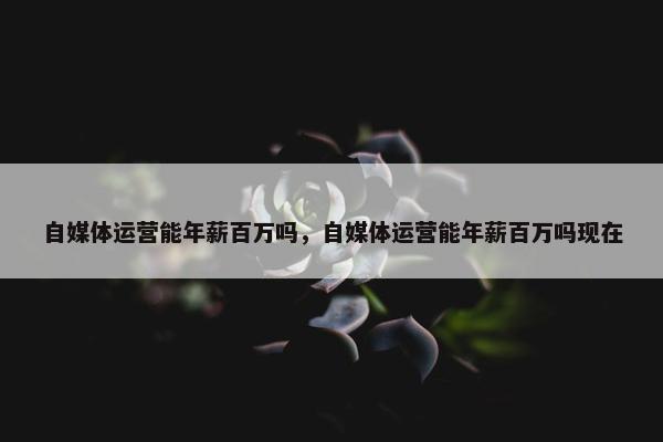 自媒体运营能年薪百万吗，自媒体运营能年薪百万吗现在