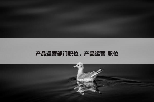 产品运营部门职位，产品运营 职位