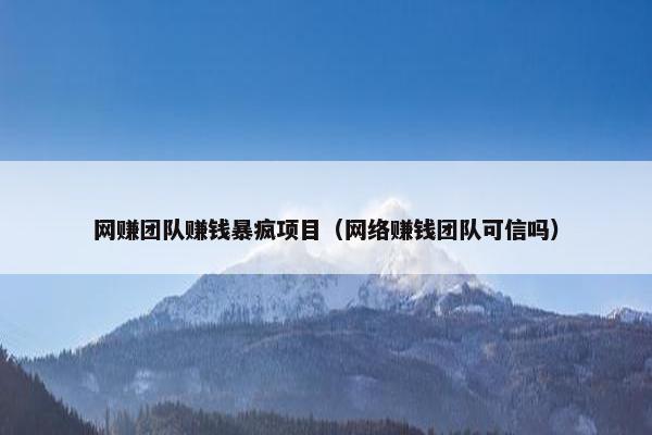 网赚团队赚钱暴疯项目（网络赚钱团队可信吗）