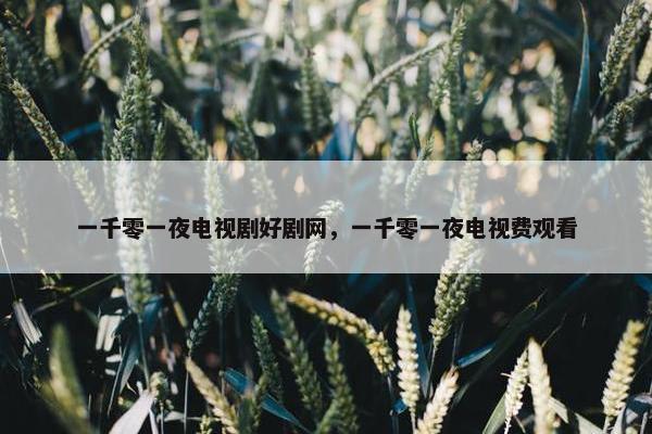 一千零一夜电视剧好剧网，一千零一夜电视费观看