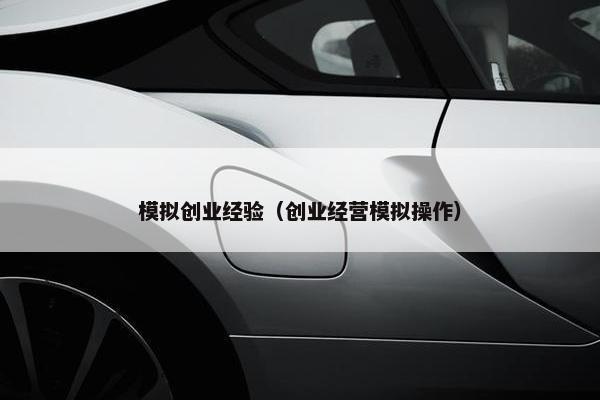 模拟创业经验（创业经营模拟操作）