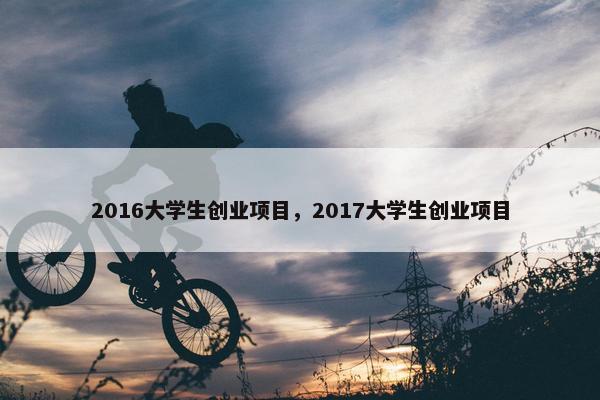 2016大学生创业项目，2017大学生创业项目