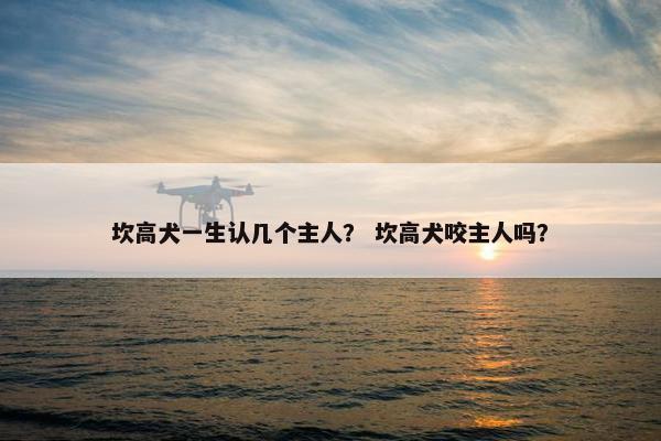 坎高犬一生认几个主人？ 坎高犬咬主人吗？