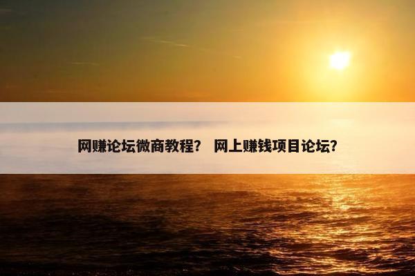 网赚论坛微商教程？ 网上赚钱项目论坛？