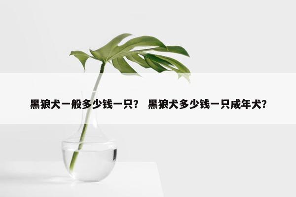 黑狼犬一般多少钱一只？ 黑狼犬多少钱一只成年犬？