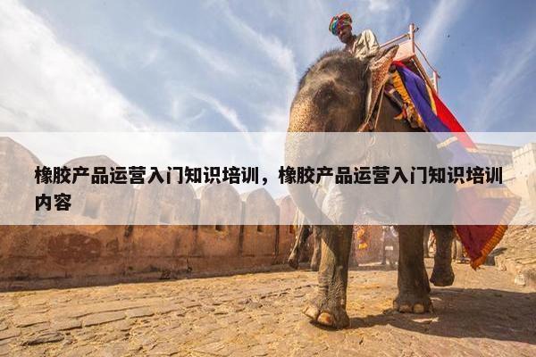 橡胶产品运营入门知识培训，橡胶产品运营入门知识培训内容