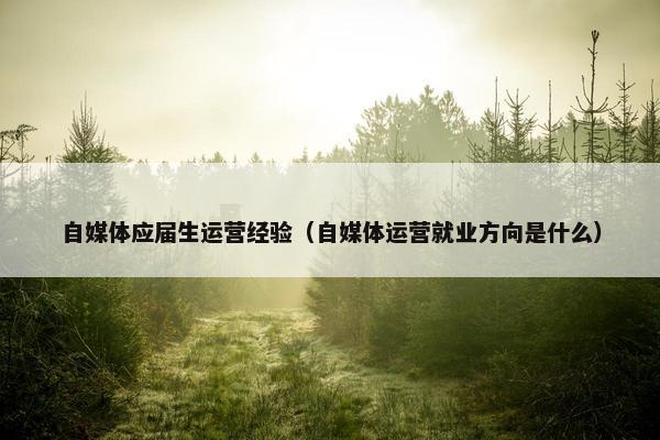 自媒体应届生运营经验（自媒体运营就业方向是什么）