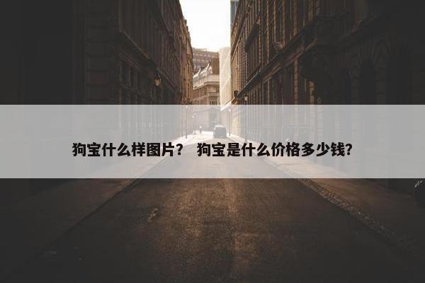 狗宝什么样图片？ 狗宝是什么价格多少钱？