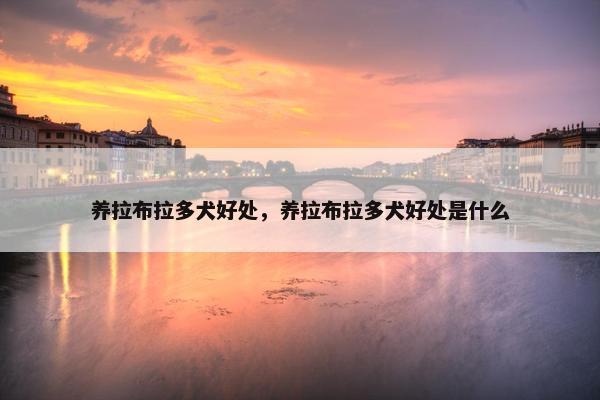 养拉布拉多犬好处，养拉布拉多犬好处是什么