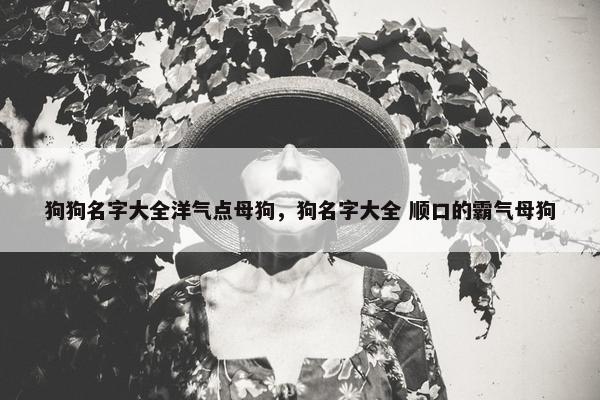 狗狗名字大全洋气点母狗，狗名字大全 顺口的霸气母狗