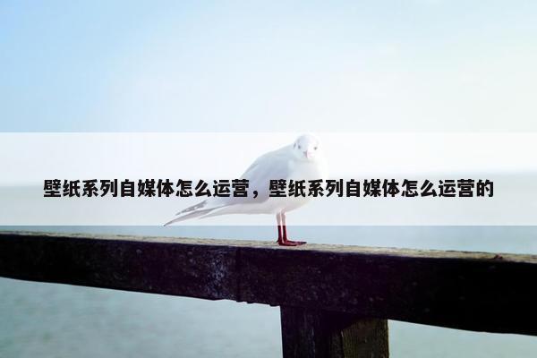 壁纸系列自媒体怎么运营，壁纸系列自媒体怎么运营的