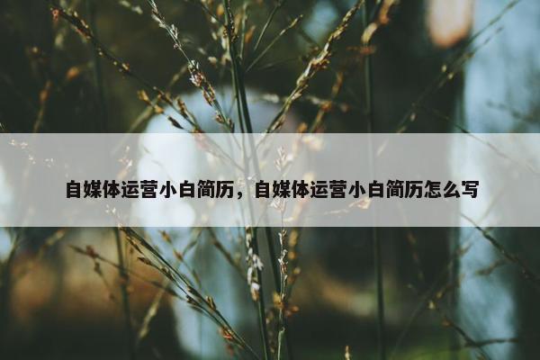 自媒体运营小白简历，自媒体运营小白简历怎么写