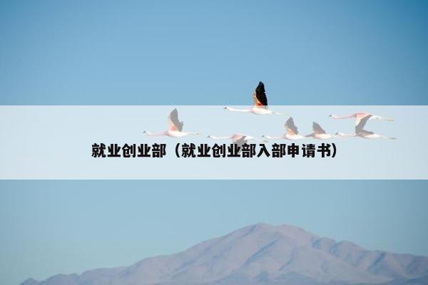就业创业部（就业创业部入部申请书）