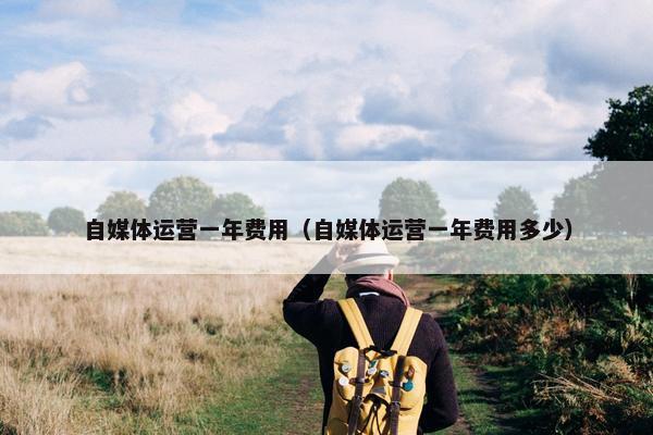 自媒体运营一年费用（自媒体运营一年费用多少）