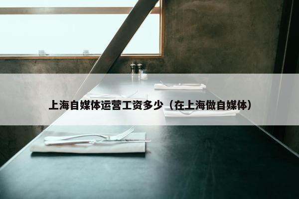 上海自媒体运营工资多少（在上海做自媒体）