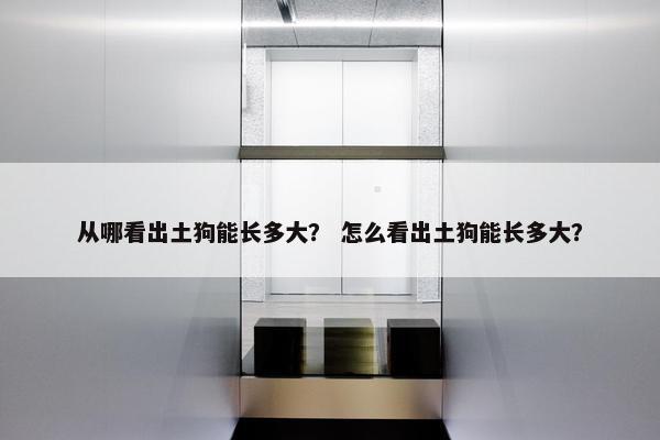 从哪看出土狗能长多大？ 怎么看出土狗能长多大？